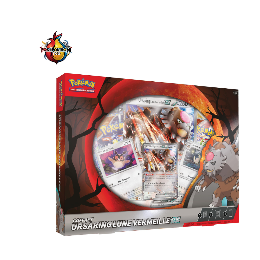 Coffret Ursaking ex