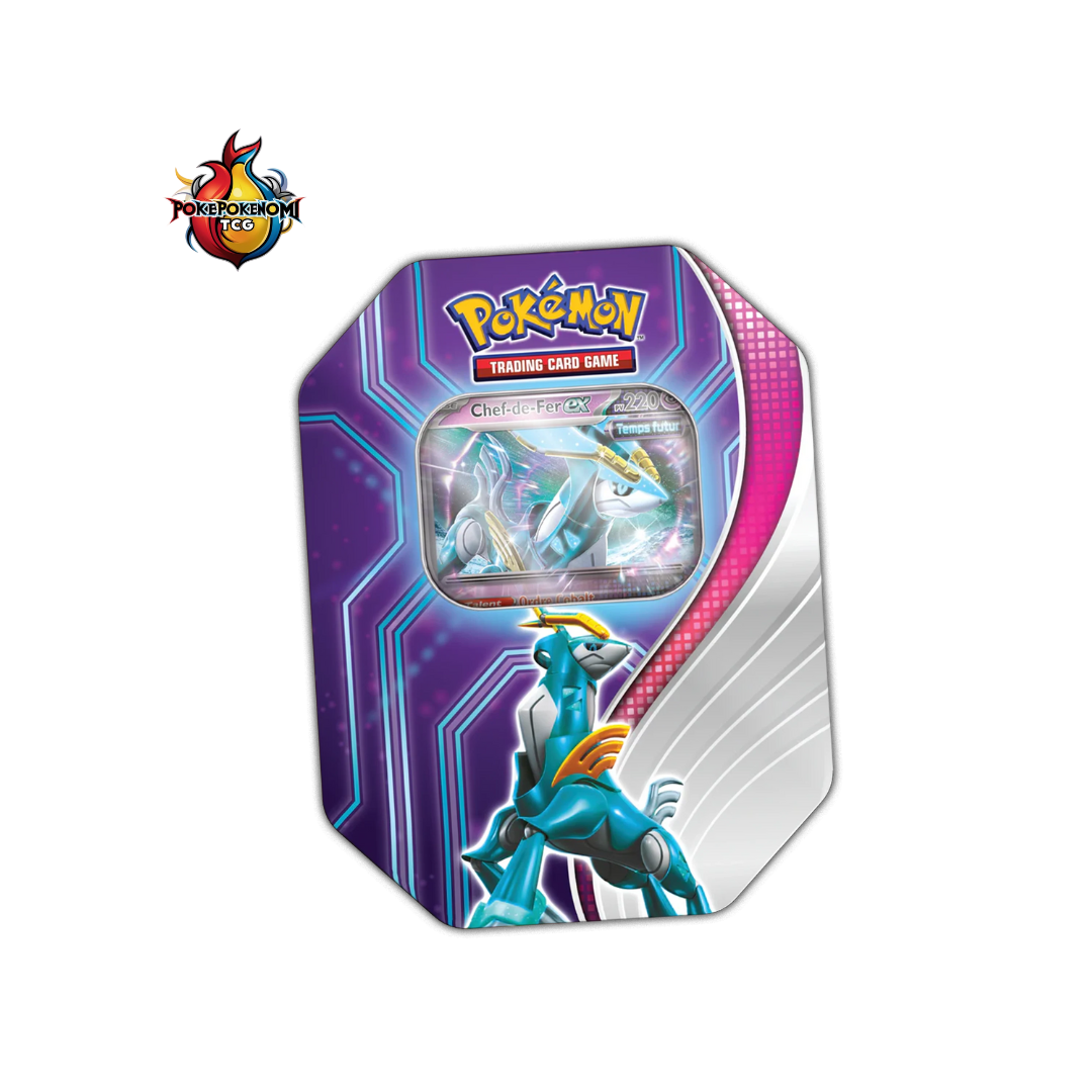 Pokebox Ire-Foudre/Feu-Perçant/Chef de Fer/Roc de Fer