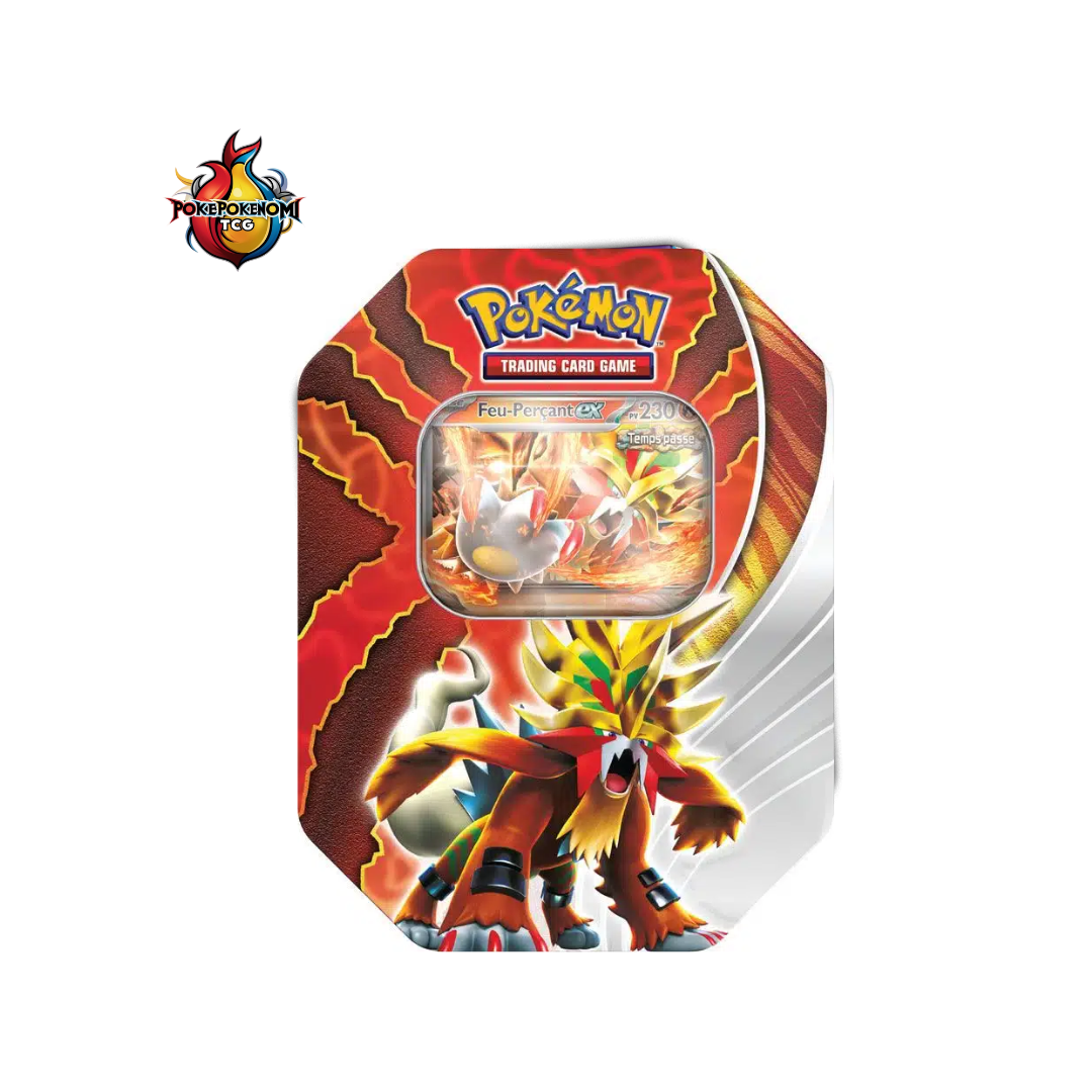 Pokebox Ire-Foudre/Feu-Perçant/Chef de Fer/Roc de Fer